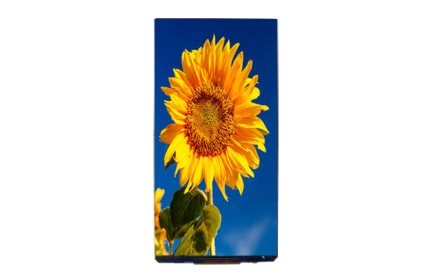 lcd顯示屏尺寸 lcd顯示屏尺寸