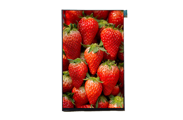 工業(yè)醫(yī)療液晶屏 工業(yè)醫(yī)療液晶屏