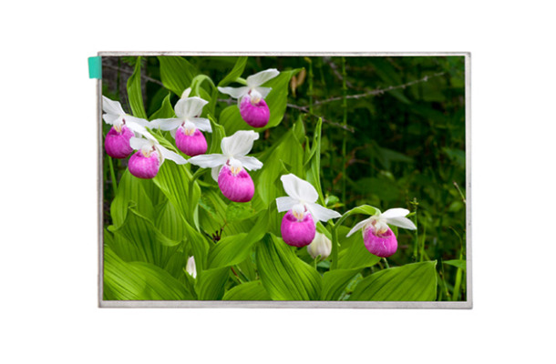 如何選購(gòu)7寸LCD顯示屏？看這里，教你挑選最合適的屏幕