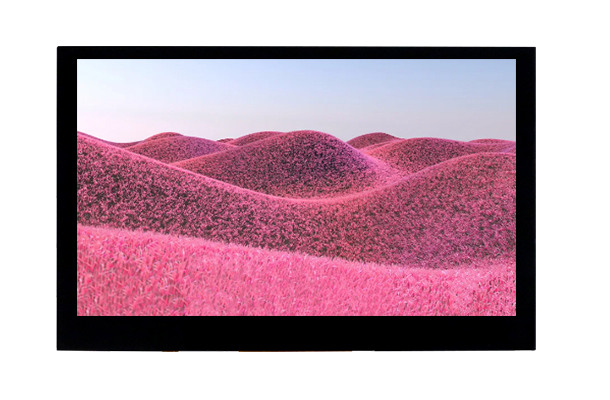 小身材如何擁有大智慧？揭秘4.5寸LCD顯示屏的獨(dú)特魅力